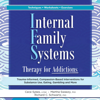 Internal Family Systems Therapy for Addictions: Trauma-Informed, Compassion-Based Interventions for Substance Use, Eating, Gambling and More (Unabridged) - Cece Sykes, Martha Sweezy & Richard Schwartz