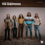 The Sheepdogs & OurVinyl - So Far Gone (OurVinyl Sessions)