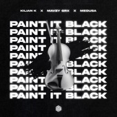 Paint It Black artwork