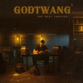 GodTwang 3: The Next Chapter artwork