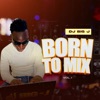 Born To Mix (II) cover art