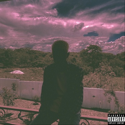 Purple $zN - EP
