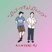 มีผัวไม่มีผล (feat. Pj) - Single - A.U.N