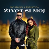 Zivot Si Moj (feat. Breskvica) artwork