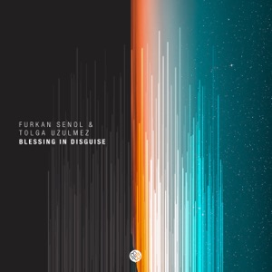 Blessing in Disguise - Single