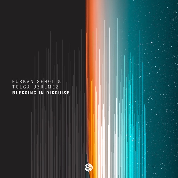Blessing in Disguise - Single
