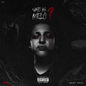 Who Is Melo? artwork