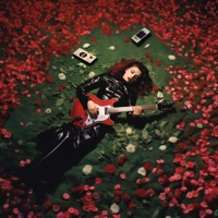 Ultraviolet - Single - Dutch Melrose