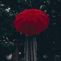 All I See is Red (feat. JXNIIXR) - Single - BleachBoy