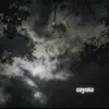 LYYN - Coyote