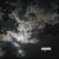 LYYN - Coyote