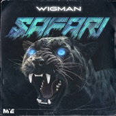 Safari (feat. B-Don) artwork