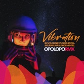 Vibration (Opolopo Remix) artwork