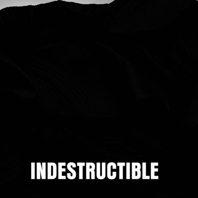 Indestructible (feat. Giani Surinder Singh Ji Samrat) - Single