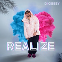 Realize - Single - DJ Gibbzy