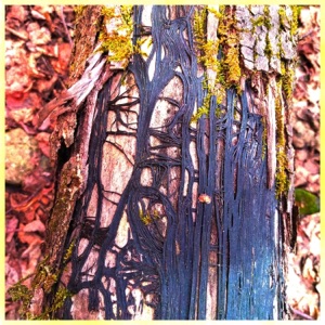 Legni - EP