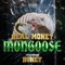 Mongoose (feat. Roney) - Real Money lyrics