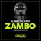 Zambo (Elvis Castellano Remix) - Albert Delgado lyrics