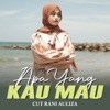 Apa Yang Kau Mau - Single