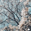 Bloom - Single