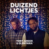 Duizend Lichtjes (Radio Edit) artwork