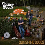 Tucker Woods - Are You Glass?