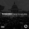 These N****s (Remix) [feat. Big June, T2wice, D Rok Caliproduk & Don Elway] - Single