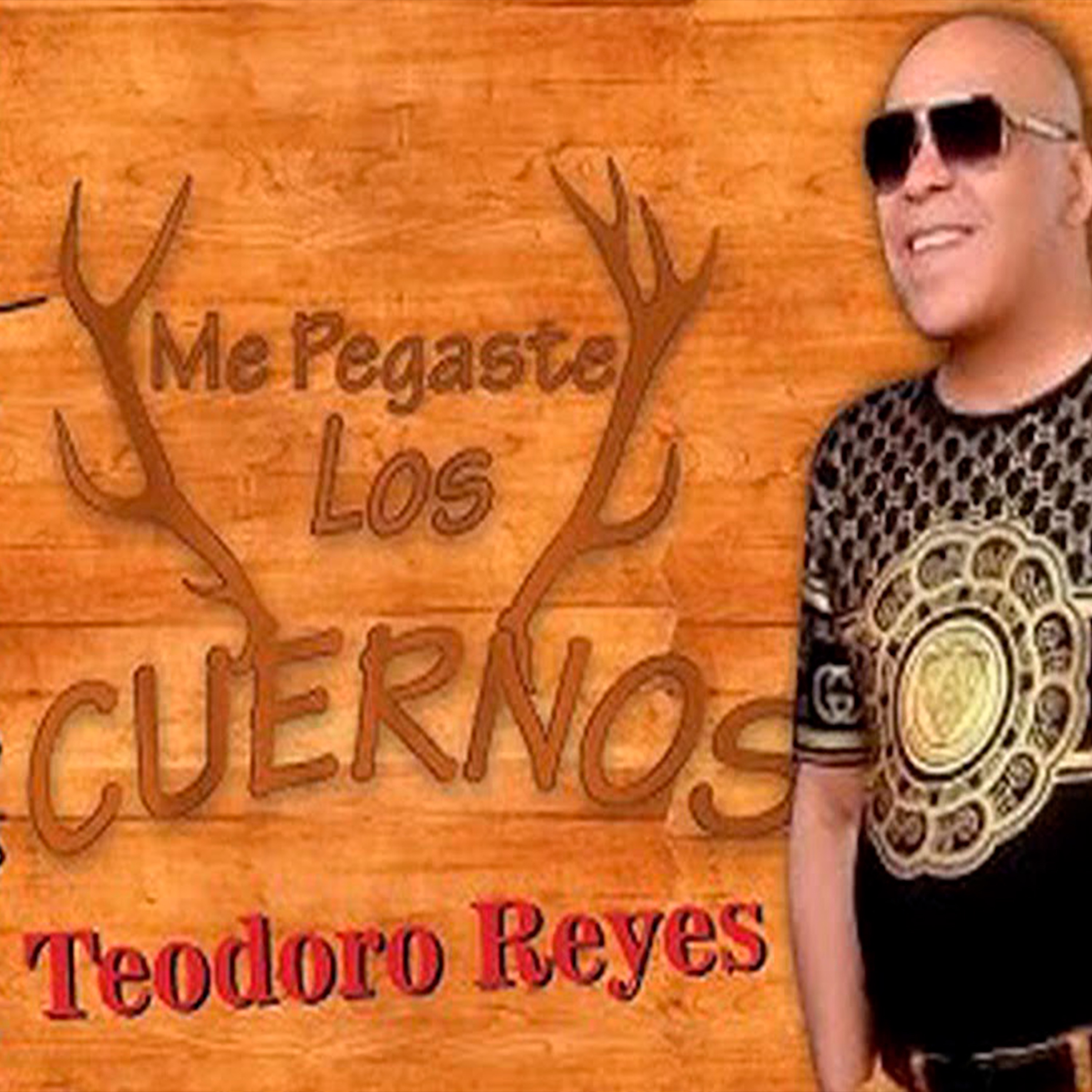 Me Pegaste los Cuernos - Single