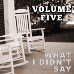 Volume Five - What I Didn't Say