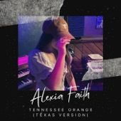 Tennessee Orange (Texas Version) artwork