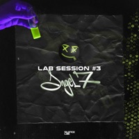 Lab Session #3 (feat. Angel7) - Single - Silence Lab