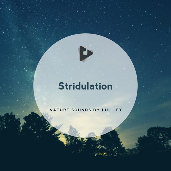 Stridulation