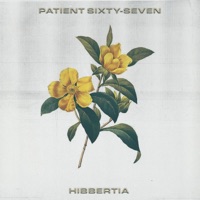 Hibbertia - Single - Patient Sixty-Seven
