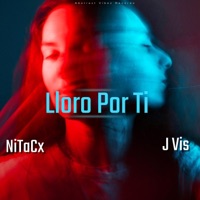 Lloro Por Ti (feat. J VIS) - Single - Ednita Castillo