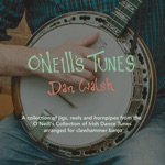 Dan Walsh - The Old Bush / Humours of Ballinacarrig / Jenny Picking Cockles / Salamanca Reel