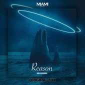 Reason artwork