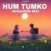 Hum Tumko Nigahon Mai (LoFi) artwork