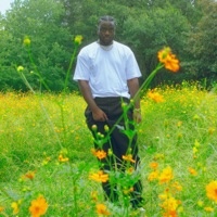 Night & Day - Single - dndSection