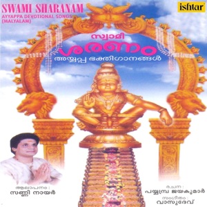 Swami Sharanam - Single