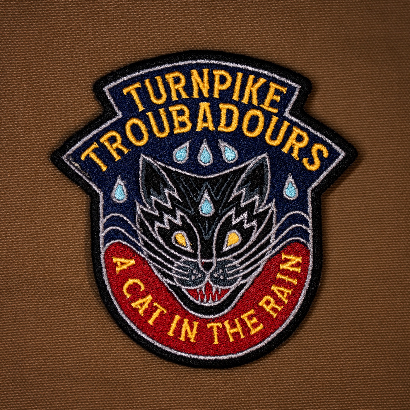 A Cat in the Rain by Turnpike Troubadours