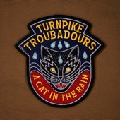 Turnpike Troubadours - Brought Me