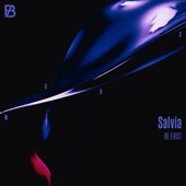 Salvia -Anime Size- artwork