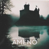 Ameno (Hard Techno Remix) artwork