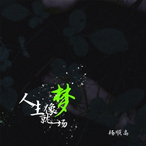 人生就像梦一场 - Single
