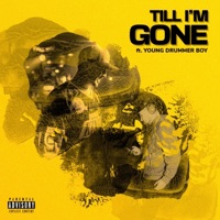 TILL I'M GONE (feat. Young Drummer Boy) - Single - Bobbifyy