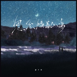 思念隔着山海 pro