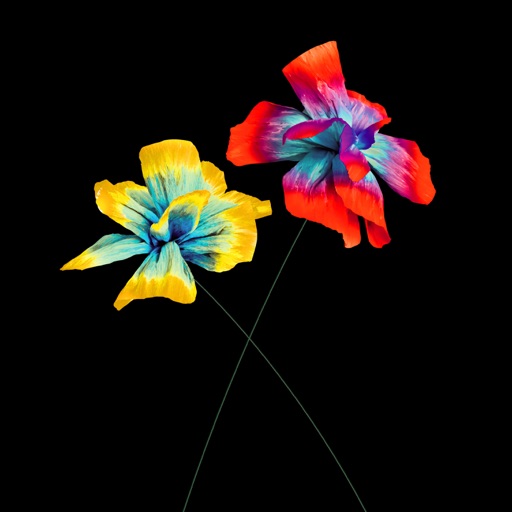 Album artwork