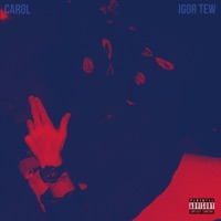 Love do bom (feat. Igor Tew) - Single - It's Carol