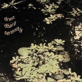 serenity (I) DRWN. & dharā
