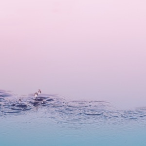 Somebody Loved - Single
